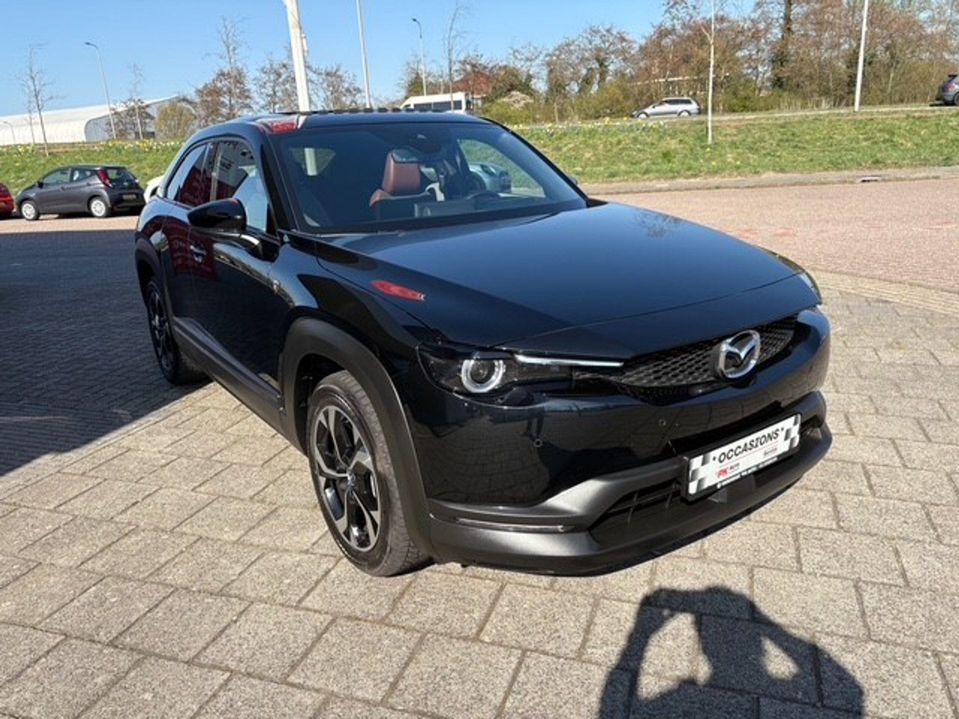 43939730-4.jpg