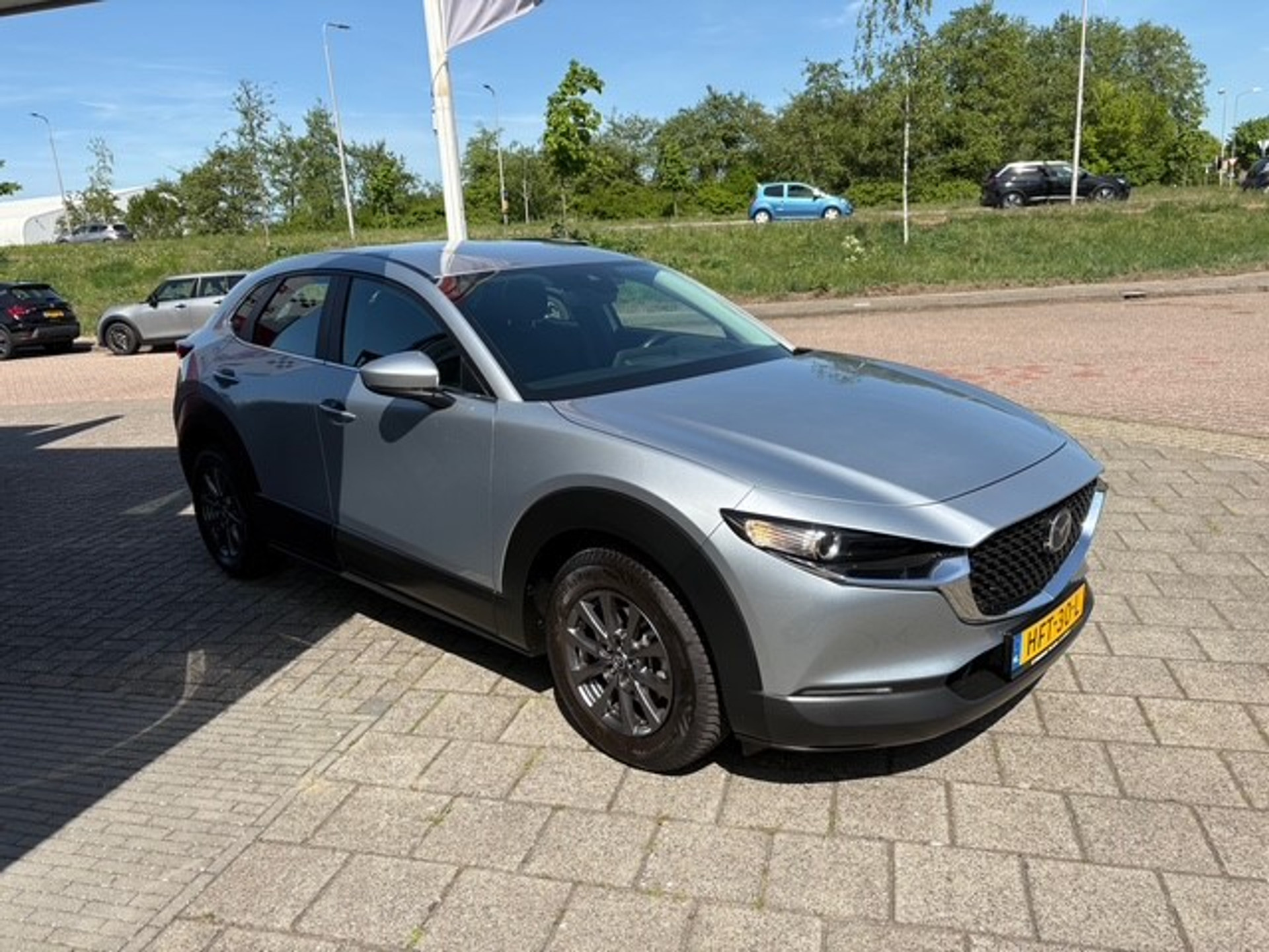 44630561-4.jpg